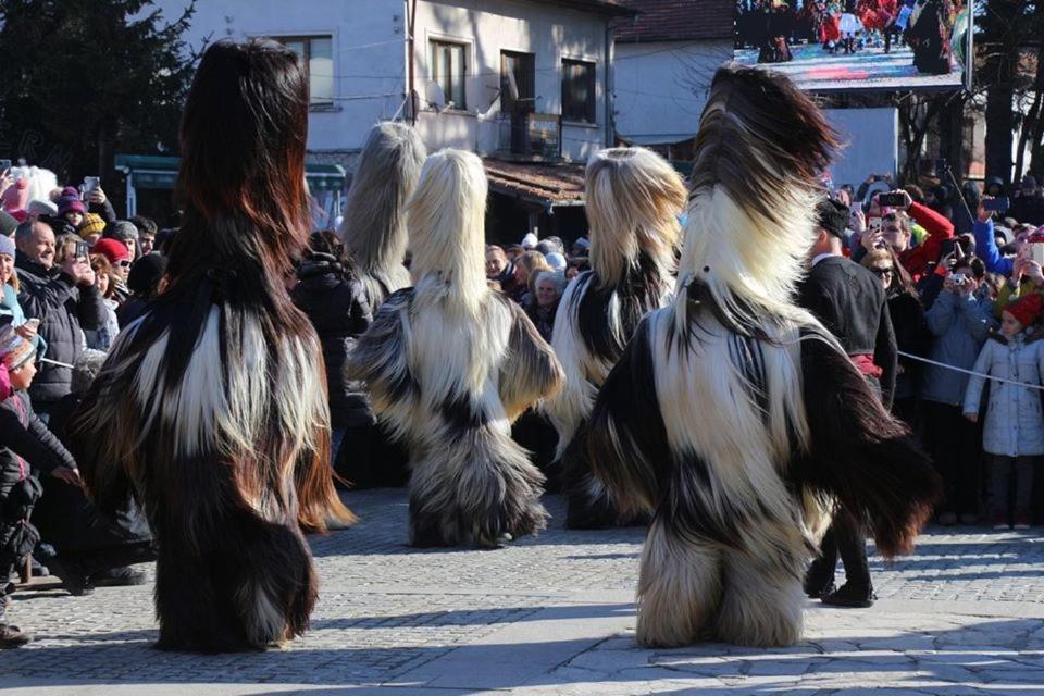 Hotel Alpin - 91 Bansko Buitenkant foto