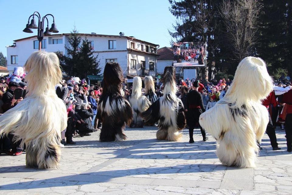 Hotel Alpin - 91 Bansko Buitenkant foto
