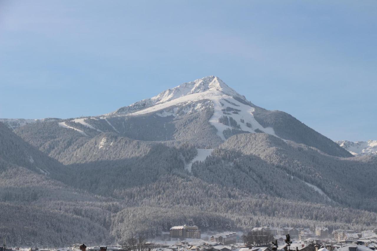 Hotel Alpin - 91 Bansko Buitenkant foto