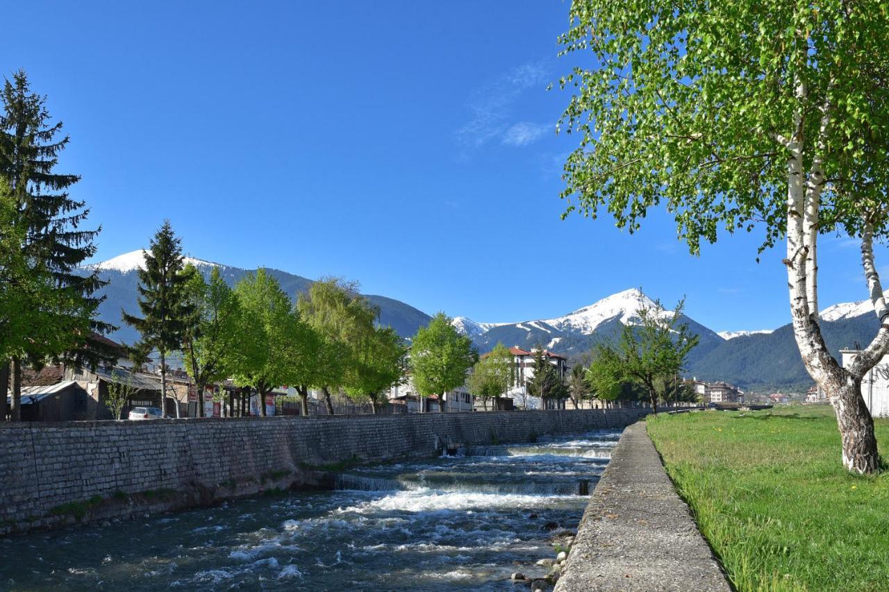 Hotel Alpin - 91 Bansko Buitenkant foto